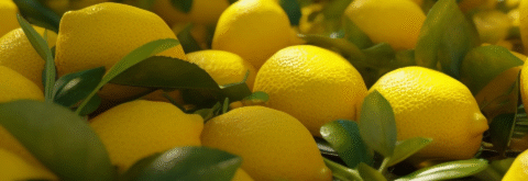Aroması olağan üstü limon çeşitlerimiz